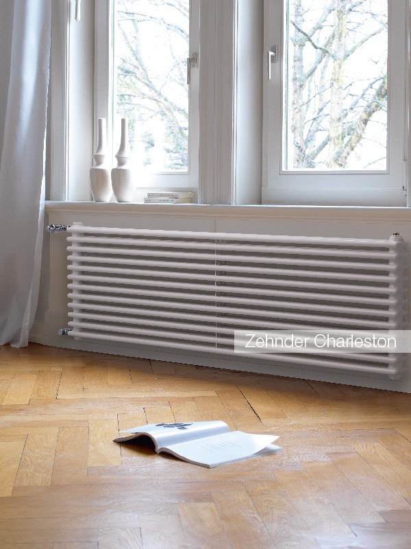 2180/06 Zehnder